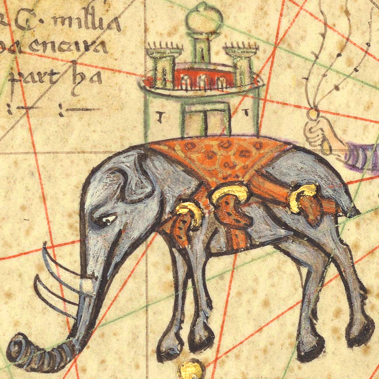 The Reign of Donovan and Megha